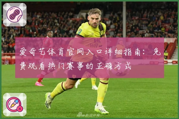爱奇艺体育官网入口详细指南：免费观看热门赛事的正确方式