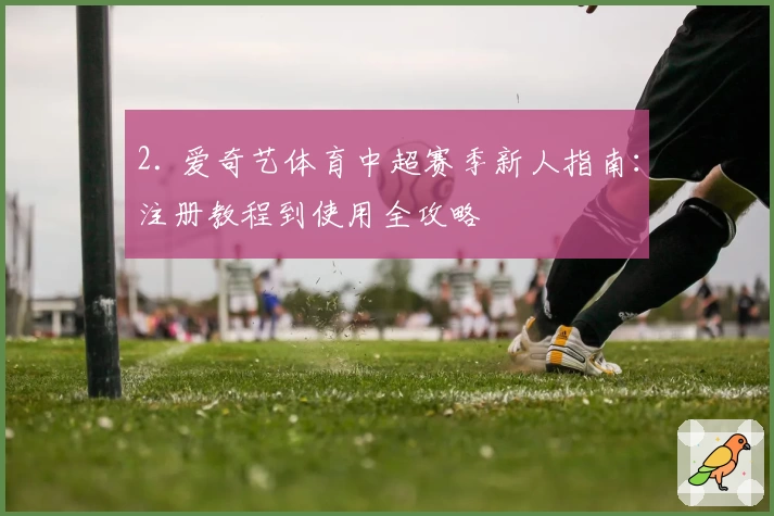 2. 爱奇艺体育中超赛季新人指南:注册教程到使用全攻略