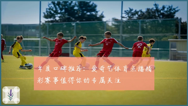 年度口碑推荐：爱奇艺体育点播精彩赛事值得你的专属关注