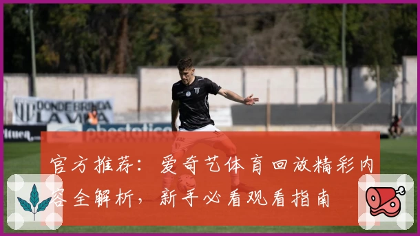 官方推荐：爱奇艺体育回放精彩内容全解析，新手必看观看指南